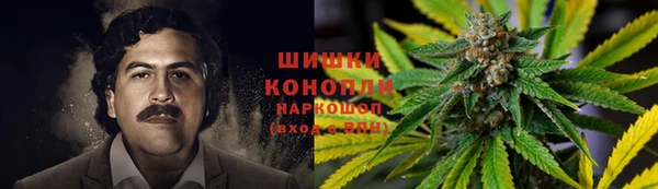 прущий лед Аркадак