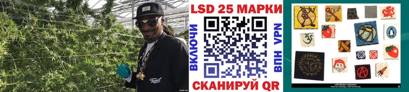 магазин продажи Колпашево сайты даркнета наркотические препараты Марки NBOMe 1,8мг